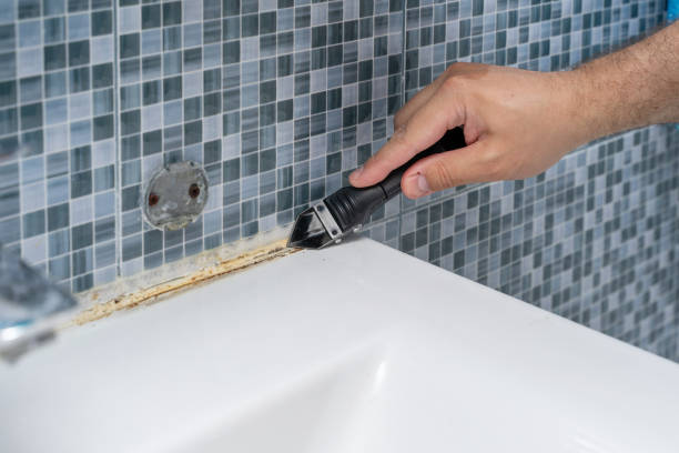  Bertram, TX Mold Removal Pros