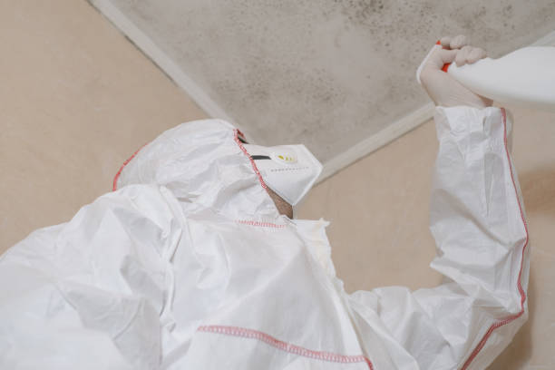 Best Emergency Mold Removal  in Bertram, TX