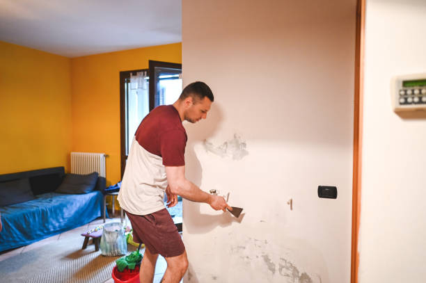 Best Mold Remediation  in Bertram, TX
